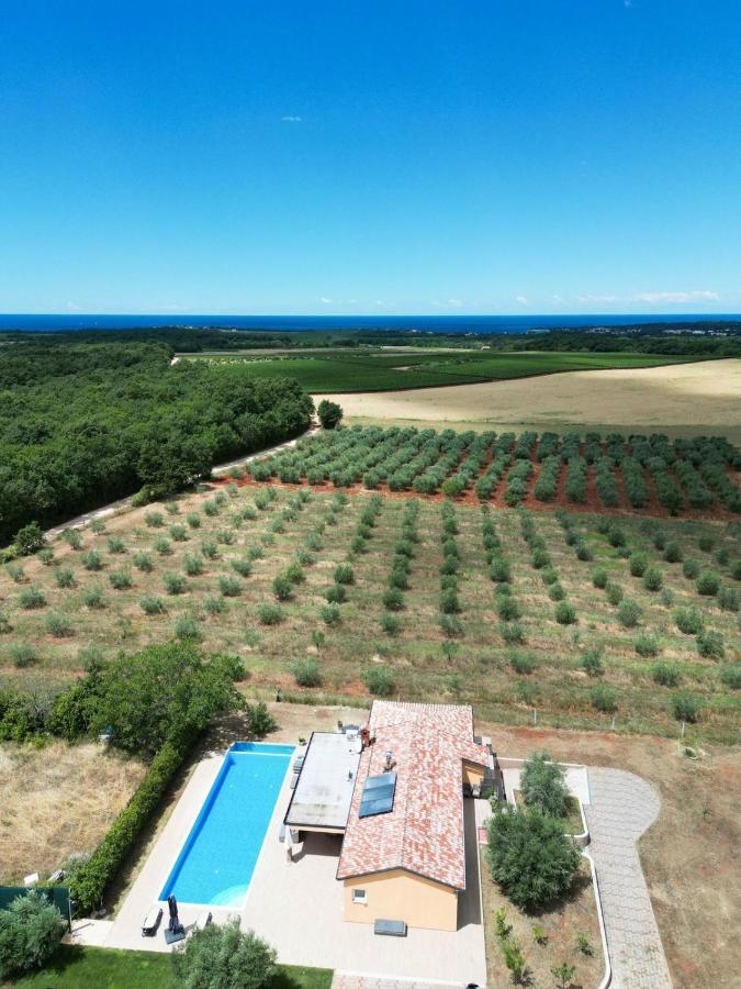 Absolute Privacy Novigrad Istria
